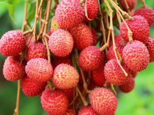 Litchi(per Lb)
